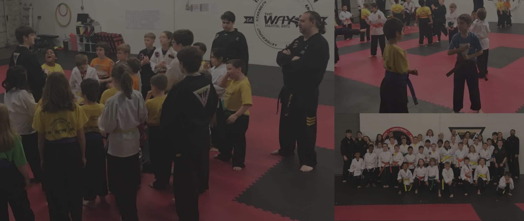 The Way Martial Arts An Indianapolis Martial Arts School